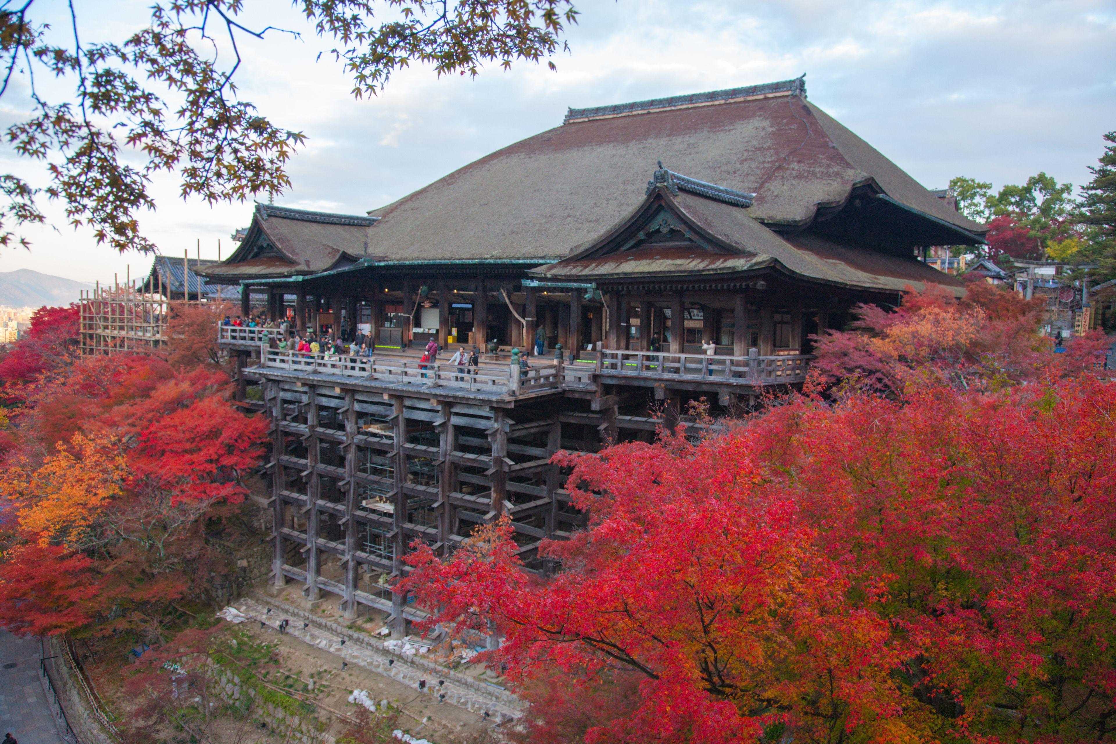 Ryokan Hostel Gion — Bilder 3